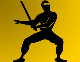 Il Traduttore Ha Da Essere Un Ninja O L’amante?